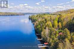 3 - 4209 MUSKOKA ROAD 117 | Baysville Ontario | Slide Image Forty-six