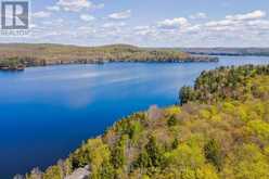 3 - 4209 MUSKOKA ROAD 117 | Baysville Ontario | Slide Image Forty-seven