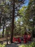 3 - 4209 MUSKOKA ROAD 117 | Baysville Ontario | Slide Image Forty-three