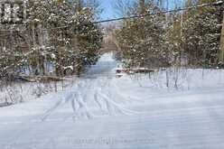 3020 FINLEY ROAD | North Kawartha Ontario | Slide Image Ten
