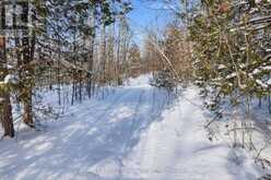 3020 FINLEY ROAD | North Kawartha Ontario | Slide Image Eleven