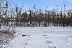 3020 FINLEY ROAD | North Kawartha Ontario | Slide Image Sixteen