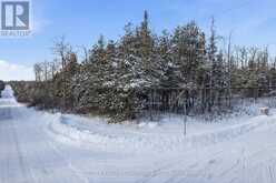 3020 FINLEY ROAD | North Kawartha Ontario | Slide Image Nine