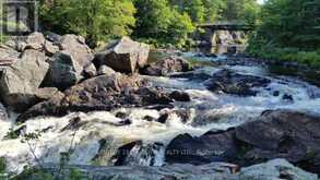 8101 KINGS RIVER ROAD | Washago Ontario | Slide Image Three
