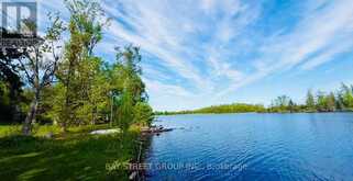 1288 PORTAGE ROAD | Kawartha Lakes Ontario | Slide Image Four