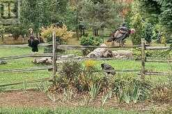 17218 INNIS LAKE ROAD | Caledon Ontario | Slide Image Thirty-four