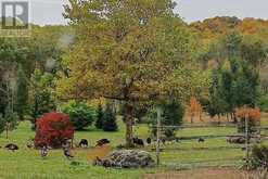 17218 INNIS LAKE ROAD | Caledon Ontario | Slide Image Eight