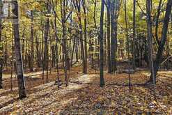 17218 INNIS LAKE ROAD | Caledon Ontario | Slide Image Thirty-three