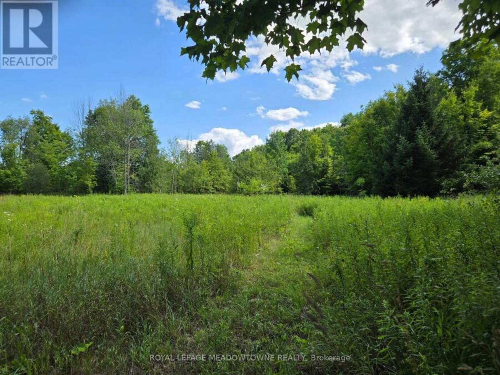 9414 FIRST LINE NASSAGAWEYA, Milton, Ontario L0P 1J0