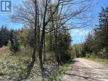 430 BEAVER ROAD | Campbellford Ontario | Slide Image Fifteen
