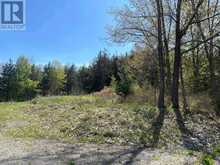 430 BEAVER ROAD | Campbellford Ontario | Slide Image Six