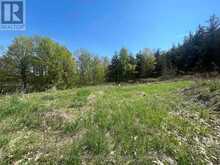 430 BEAVER ROAD | Campbellford Ontario | Slide Image Nine