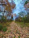 397641 10 CONCESSION | Owen Sound Ontario | Slide Image Five