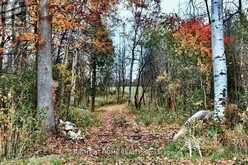 397641 10 CONCESSION | Owen Sound Ontario | Slide Image Seven