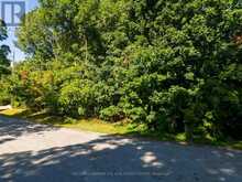 LOT 30 & PART LOT 29 PURVIS STREET | Innisfil Ontario | Slide Image Nineteen