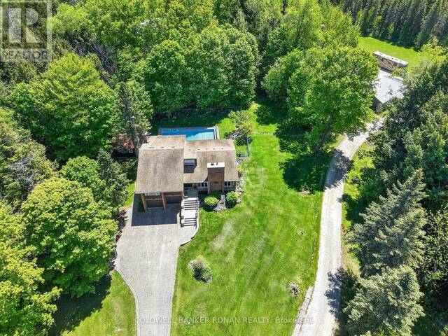5565 5TH LINE New Tecumseth Ontario, L0G 1W0 - 4 Bedrooms Home For Sale
