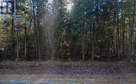 NA DWIGHT BEACH ROAD | Dwight Ontario | Slide Image Four