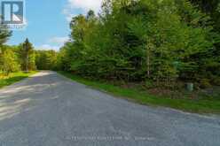 LT 25 LEONARD ROAD | Tiny Ontario | Slide Image Three