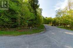 LT 25 LEONARD ROAD | Tiny Ontario | Slide Image Four