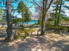 LT 25 LEONARD ROAD | Tiny Ontario | Slide Image Twelve