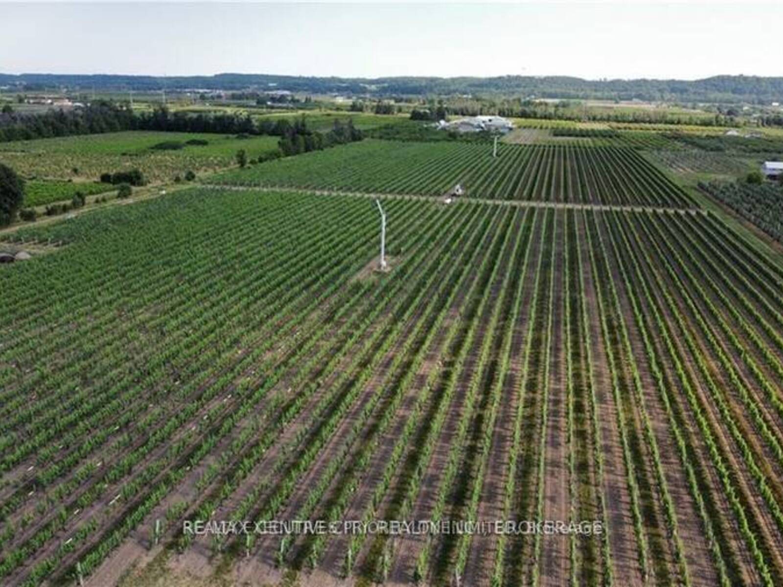 3920 GREENLANE ROAD, Lincoln, Ontario L0R 1B1