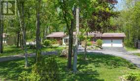 166 ADAM AND EVE ROAD | North Kawartha Ontario | Slide Image One