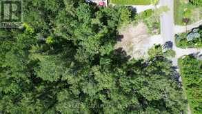 LT101 SILVER BIRCH DRIVE | Tiny Ontario | Slide Image Seventeen