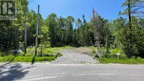 LT101 SILVER BIRCH DRIVE | Tiny Ontario | Slide Image One