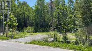 LT101 SILVER BIRCH DRIVE | Tiny Ontario | Slide Image Two