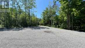 LT101 SILVER BIRCH DRIVE | Tiny Ontario | Slide Image Five