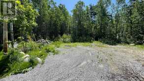LT101 SILVER BIRCH DRIVE | Tiny Ontario | Slide Image Seven