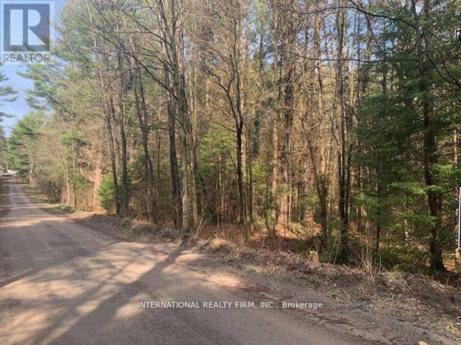 0 THE AVE ROAD N, Kawartha Lakes, Ontario K0M 2A0