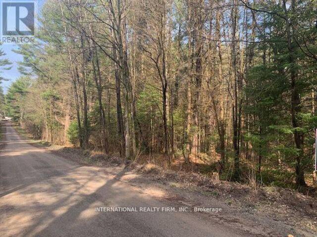 0 THE AVE ROAD N Kawartha Lakes Ontario, K0M 2A0 - Vacant Land For Sale