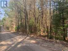 0 THE AVE ROAD N | Kawartha Lakes Ontario | Slide Image One