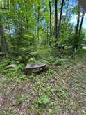 580223 SIDEROAD 60 | Chatsworth Ontario | Slide Image Four