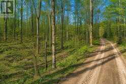580223 SIDEROAD 60 | Chatsworth Ontario | Slide Image Thirteen