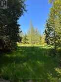 580223 SIDEROAD 60 | Chatsworth Ontario | Slide Image Six