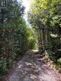580223 SIDEROAD 60 | Chatsworth Ontario | Slide Image Seven