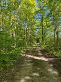 580223 SIDEROAD 60 | Chatsworth Ontario | Slide Image Three