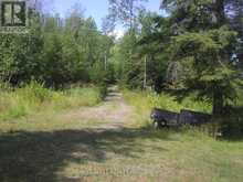 2 CURRY POINT ROAD | Markstay-Warren Ontario | Slide Image Three