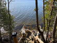 227 SUNSET BEACH ROAD | Kawartha Lakes Ontario | Slide Image Sixteen