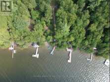 227 SUNSET BEACH ROAD | Kawartha Lakes Ontario | Slide Image Twenty