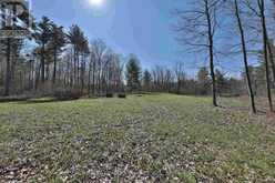 20 SIDE ROAD | Halton Hills Ontario | Slide Image Ten