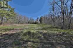 20 SIDE ROAD | Halton Hills Ontario | Slide Image Thirteen