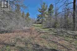 20 SIDE ROAD | Halton Hills Ontario | Slide Image Fourteen
