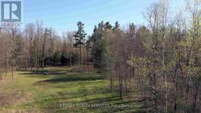 20 SIDE ROAD | Halton Hills Ontario | Slide Image Four