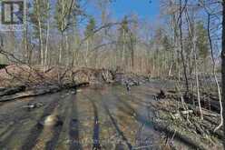 20 SIDE ROAD | Halton Hills Ontario | Slide Image Nine