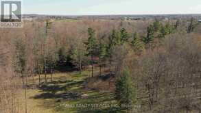 20 SIDE ROAD | Halton Hills Ontario | Slide Image Five