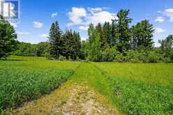 2904 SHELTER VALLEY ROAD | Alnwick-Haldimand Ontario | Slide Image Thirty-eight