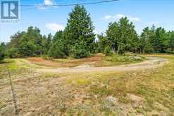 3529 HIGHWAY 118 E | Bracebridge Ontario | Slide Image Six